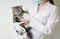 Vaccinations for pets. Veterinarian shows a vaccine in a syringe to a cat
