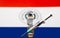 Vaccine concept with reflected and defocused paraguay country flag