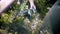 vacuum in the car. close-up. car trunk is cleaned with vacuum cleaner. view through the glass, in which trees and