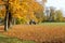 Vacuum sweeper towed by a tractor work in autumn park.