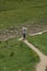 Val d`Aosta, Italy, July 5 2018: woman walking alone on a mountain trial