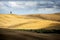 Val d `Arbia, Tuscany. Hills designed as huge rugs after the harvest. Siena, Italy.