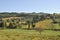 Val d`Enza panoramas, hills, cypresses, fields.