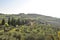 Val d`Enza panoramas, hills, cypresses, fields