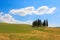 Val d'Orcia cypresses view