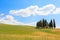 Val d'Orcia cypresses view