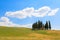 Val d'Orcia cypresses view