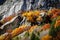 Val Masino - Val di Mello - Valtellina IT - Granite walls with trees