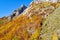 Val Masino - Valtellina IT - Panoramic autumn view