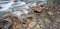 Val Veny, Italy - Rocks and Stream