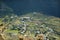 Valdichiesa village, the Aeolian islands, Sicily, Italy