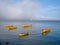 Valdivia Harbor, Chile