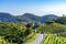 Valdobbiadene, hills and vineyards along the Prosecco road. Italy