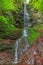 Valea lui Stan Gorge in Romania