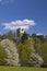 Valecov castle ruins, Middle Bohemia, Czech Republic