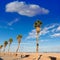 Valencia Malvarrosa Las Arenas beach palm trees