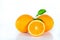 Valencia oranges on white background