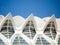 Valencia, Spain - August 2009: Arts and Science Museum by Calatrava