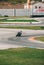 VALENCIA, SPAIN - Dec 06, 2020: White Suit Pilot Biker Turning a Circuit Curve on his Motorcycle (Vertical Shot