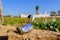 Valencia, Spain - February 9, 2020: Garbage and abandoned waste in an orchard area polluting the earth