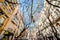 Valencia, Spain - March 19, 2019: Aspect of a downtown street where a Mascleta has been set up, full of firecrackers and fireworks