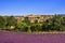 Valensole village and lavender. Provence, France