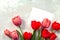Valentine background or greeting card. Congratulatory sheet of paper with tulips on a gray stone background.