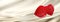 Valentine banner with red velvet hearts on silk background