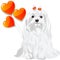 Valentine card with dog Maltese and hearts