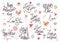 Valentine Day, Love and Wedding lettering collection. Vector Illustration