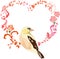 Valentine day romantic bird