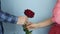 Valentine Gift. Male hand is giving red rose to female, close up. St. Valentine`s Day, Love concept. Romance, dating concept. Man