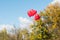 Valentine heart balloon against blue sky