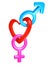 Valentine heart shape connecting gender symbols for male and female sexes