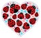 Valentine ladybugs theme image 1