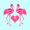 Valentine romantic card, two pink flamingos in love, vector