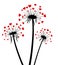 Valentine`s background with love dandelions.