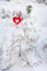 Valentine`s card hangs on the tree on a frosty winter day