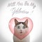 Valentine`s day card with funny cat and heart on white background with will you be my valentine inscription