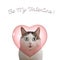 Valentine`s day card mockup with funny cat and heart on white background with be my valentine inscription