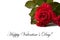 Valentine\'s Day card: Roses isolated on white