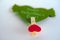 Valentine`s day concept. Green paper heart with wings and congratulation fixed on a clothespin on white background.
