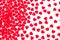 Valentine`s day decorative pattern red hearts confetti isolated on white background.