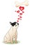 Valentine`s day dog in love