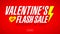 Valentine`s Day Flash Sale banner