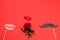 Valentine`s day, love, romantic concept. Fresh red rose flower and red heart with mustaches and lips paper prop on red background