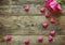 Valentine`s day, one pink rose, many heart
