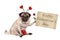 Valentine`s day pug dog sitting down, holding up paper scroll, wearing diadem with hearts