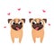 Valentine`s Day Pugs