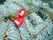 Valentine`s Day, red hearts to the day of St.Valentine`s Dy